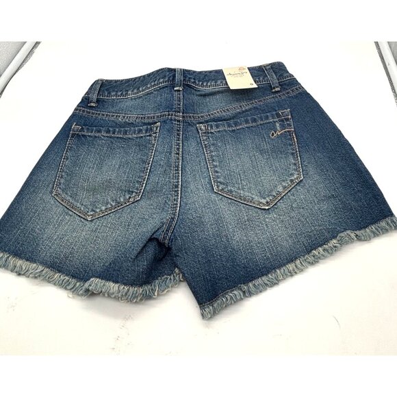 American Rag, Junior's Arlington Fest, Embroidered Denim Shorts, Adabelle Wash - Picture 8 of 12